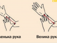 Розмір вашої руки розповість дещо цікаве про ваш характер. Перевірте
