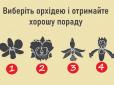 Психологічний тест: Виберіть орхідею - і отримаєте потрібну вам пораду просто зараз