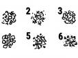 Перевірте себе!  Психологічний тест: Обраний візерунок розповість про ваш характер