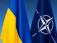 Шанси є! Україна могла б вступити в НАТО за німецьким сценарієм: Ексміністр оборони Польщі озвучив умови