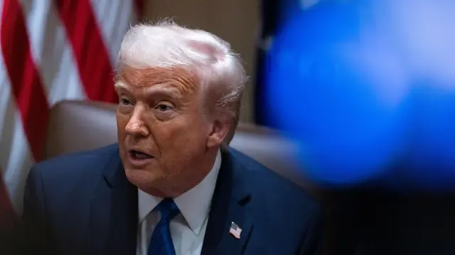 На поклон? ЗМІ дізналися, хто перший поїде до Трампа для обговорення мит