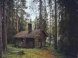 Лише ті, хто має мисливський зір, зможуть побачити ведмедя, схованого на цій картинці