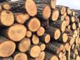 Є нюанси: Які дрова найдешевші та чи підходять вони для опалення