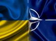 Шалені ризики: НАТО у війні з Росією може втратити більше, ніж Україна, - Business Insider