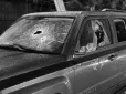 Почула звук, схожий на постріл: Колишня Льовочкіна залишилася без автівки (фото)