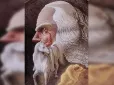 Перевірте себе! Що побачили першим? Тест покаже, що найважливіше у вашому житті