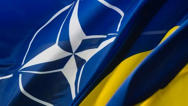 Запрошення в НАТО не буде: Волкер розповів, як діяти Україні