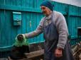В Україні почали штрафувати за незареєстрованих собак: Як узаконити тварину і не 
