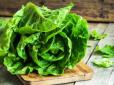 Варто включити в раціон! Продукти, в яких міститься багато клітковини
