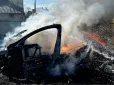 Вогонь розійшовся швидко: На Львівщині судили матір хлопчика, який через підпал сухостою випадково спалив Tesla