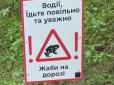 Важливий елемент екосистеми: У зелених зонах Києва облаштували незвичні природоохоронні попереджувальні знаки. (фото)