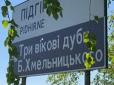 Де на околиці Львова ростуть знамениті дуби Богдана Змельницького, яким понад 400 років: живі свідки бурхливих подій мають статус природних пам'яток